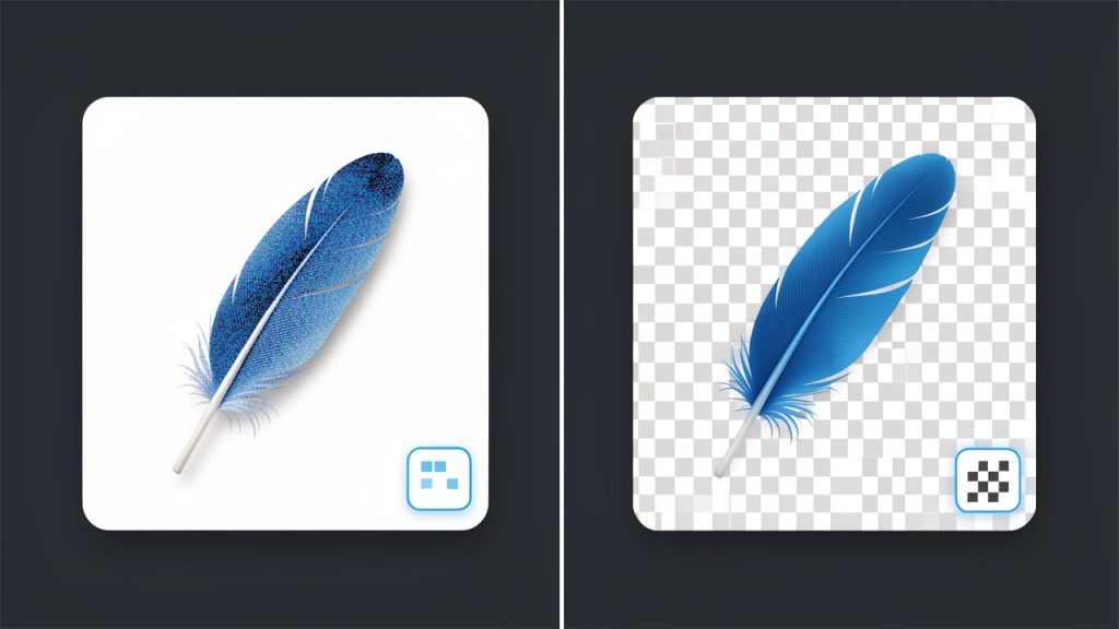 Split-screen comparison: JPG vs PNG, lossy vs lossless and transparency support